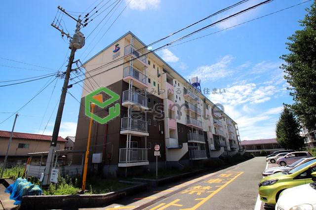 JR久大本線 久留米大学前駅 徒歩11分 築48年(2LDK/2階)