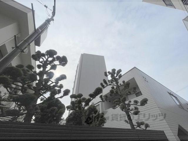 プレミアム長瀬(2LDK/3階)