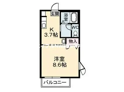 アヴェニール II棟(1K/1階)の間取り写真