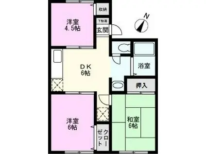 シャトー清水(3DK/1階)の間取り写真