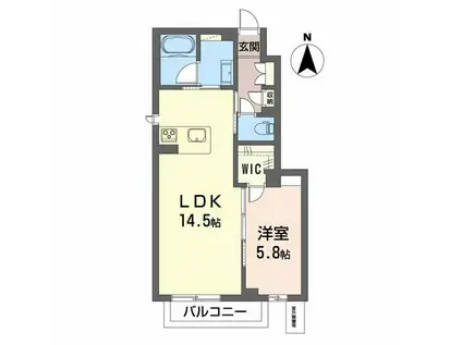 シティプラザ本町 C棟(1LDK/1階)の間取り写真