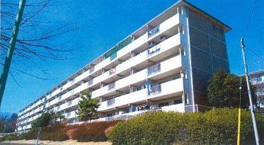 狭山台団地 5-15号棟(3LDK/3階)