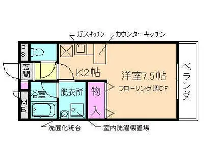 ハウスピリカ(1K/1階)の間取り写真