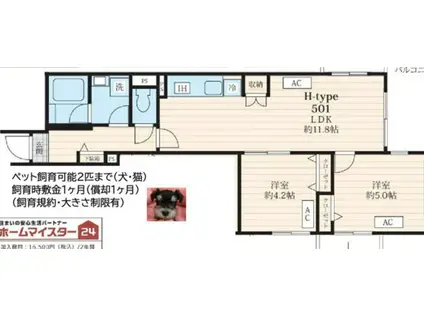 FOSSETTE池田山(2LDK/5階)の間取り写真