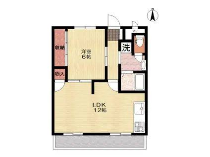 泉ハイツ(1LDK/2階)の間取り写真