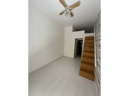 ハイジア鎌倉(1K/1階)の居間写真