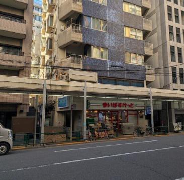 小石川パーソナルハウス(1LDK/8階)