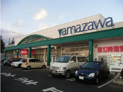 STハイツII(3DK/1階)の周辺写真