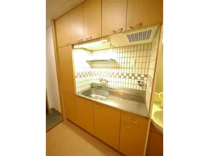 ノースステイツ幸町(2K/13階)のその他写真