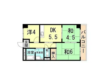 コーポ大社(3DK/4階)の間取り写真