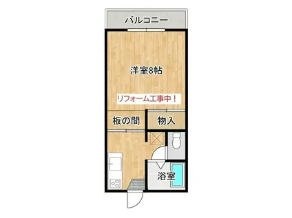 ロイヤルパレス彩佳A棟(1K/2階)の間取り写真