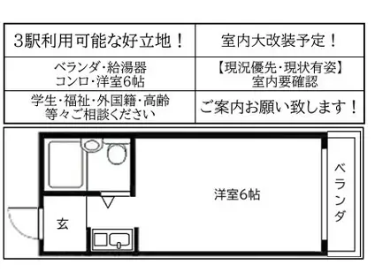 ドリーム21(ワンルーム/5階)の間取り写真