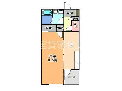 コーポ荒川(1K/1階)の間取り写真