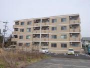 ユーミー大町(2LDK/2階)