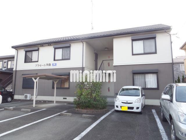 ブラセール仲島(1LDK/2階)