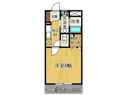 ルミエール(1K/1階)の間取り写真
