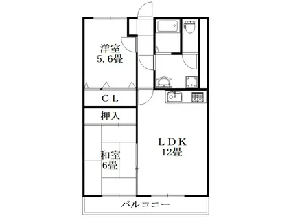 ピッコロカーザ・タヘイ(2LDK/1階)の間取り写真