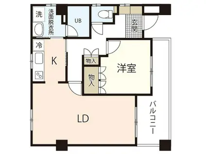 玉井マンション(1LDK/1階)の間取り写真