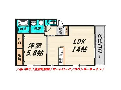 メゾン・ド・オリーブ(1LDK/1階)の間取り写真