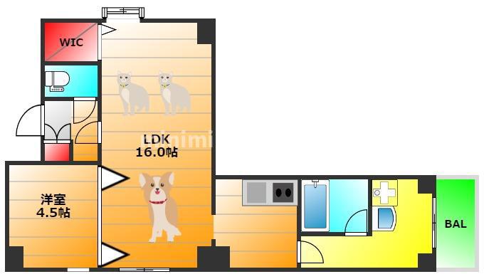 アンビション安堂寺(1LDK/8階)の間取り写真