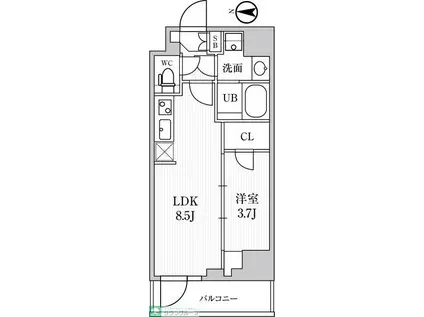 シーズンフラッツ住吉(1LDK/6階)の間取り写真