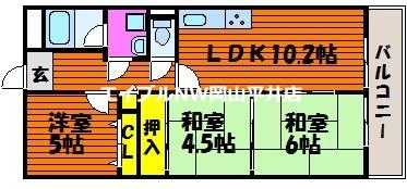 ネオハイツ岡山東(3LDK/5階)の間取り写真
