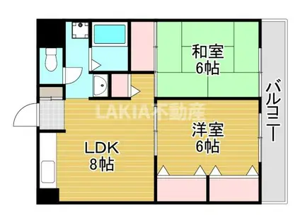 大東マンションII(2LDK/4階)の間取り写真