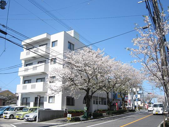 紫桜ハイツ(3DK/3階)