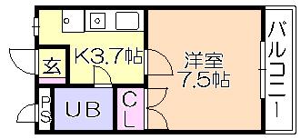 セレクトハイツ(1K/2階)の間取り写真