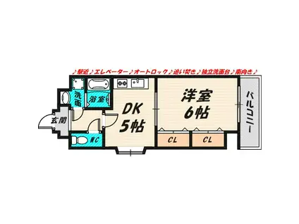 アイズワンII(1K/2階)の間取り写真