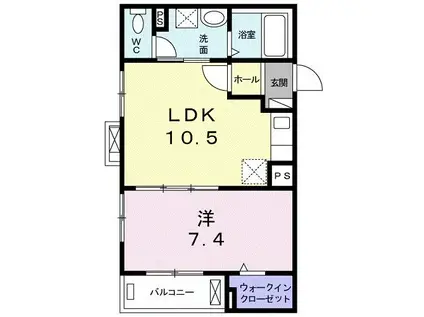 サザンクロス サウス(1LDK/2階)の間取り写真