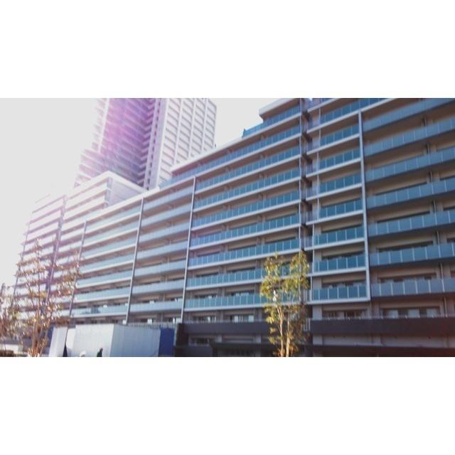 武蔵浦和SKY&GARDEN C棟2103(3LDK/21階)