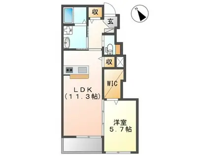 アメイジング コート(1LDK/1階)の間取り写真