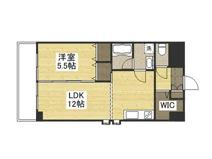 ルミエール松島(1LDK/7階)の間取り写真