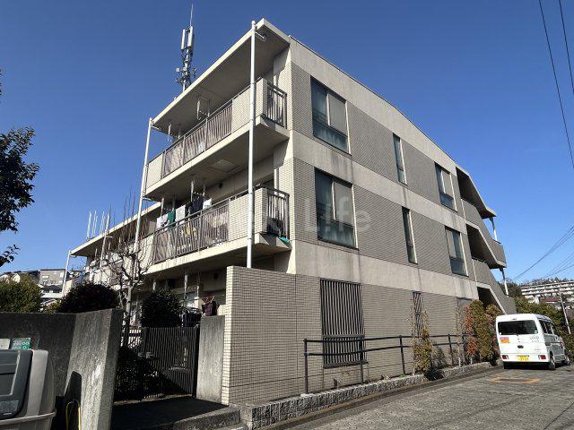 エムワイティーパラシオ(3LDK/3階)
