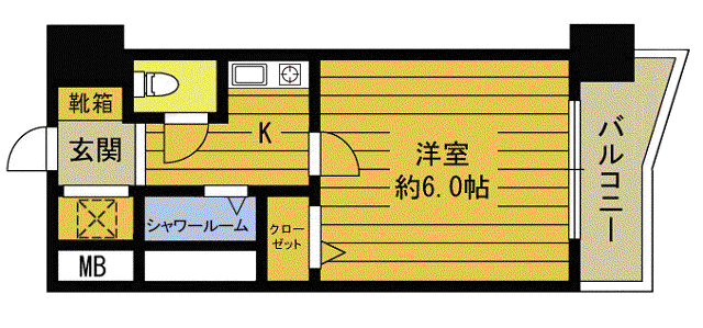 朝日プラザ中島中央 503号(1K/5階)の間取り写真