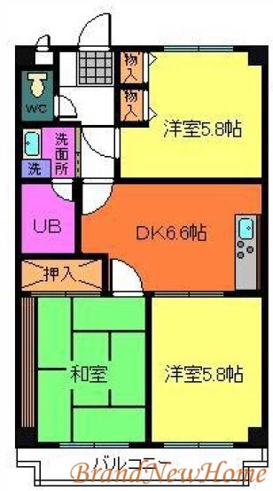 REGINA.I 五番館(3DK/3階)の間取り写真