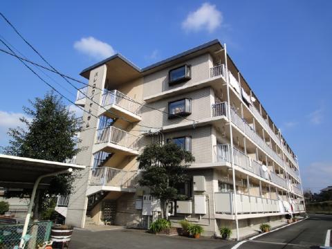 パレロワイヤル(3DK/2階)