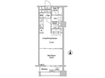 コンフォリア大山(1DK/11階)の間取り写真