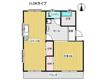 コーポ太陽(1LDK/1階)の間取り写真