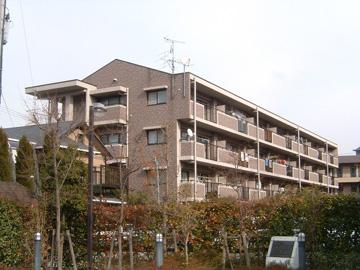 マンションむなかた(3LDK/2階)