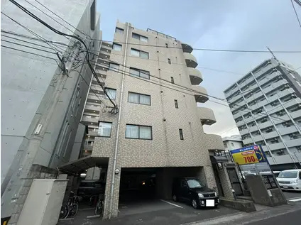 ホープ流星(1K/6階)の外観写真