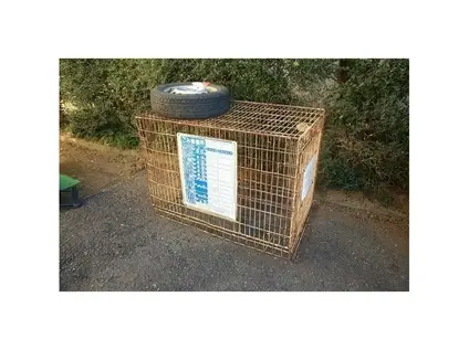 コーワパレス神立(1K/2階)の外観写真