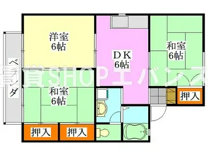 ネオハイツ伊藤(3DK/2階)の間取り写真