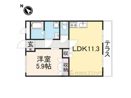 ルミナスコート(1LDK/1階)の間取り写真