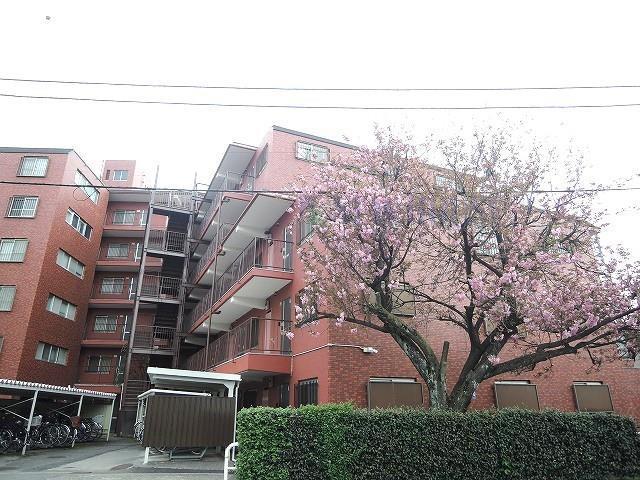 三田上板橋ガーデン(2LDK/3階)