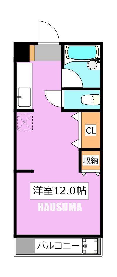 正太駒込マンション(ワンルーム/9階)の間取り写真