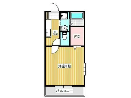 サニーハイツ A棟(1K/1階)の間取り写真