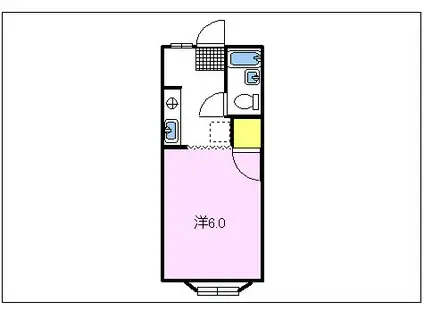 シャト-石山(1K/1階)の間取り写真