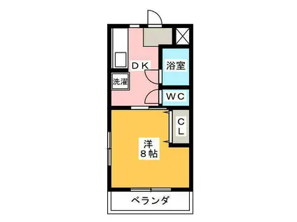 ビラ柳ストリート(1DK/1階)の間取り写真